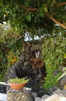 San Francisco Park (adults Only)