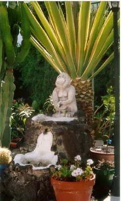 San Francisco Park (adults Only) Appartement *