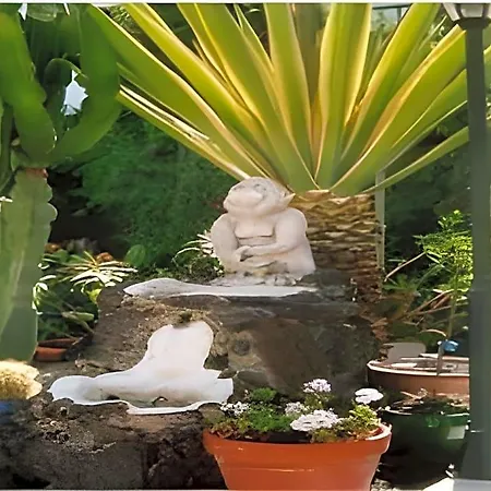 Apartment San Francisco Park (adults Only) Puerto del Carmen (Lanzarote)