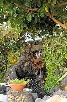 San Francisco Park (adults Only) Puerto del Carmen (Lanzarote)